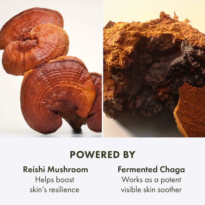 Dr. Andrew Weil for Origins™ Mega-Mushroom Relief & Resilience Soothing Treatment Lotion