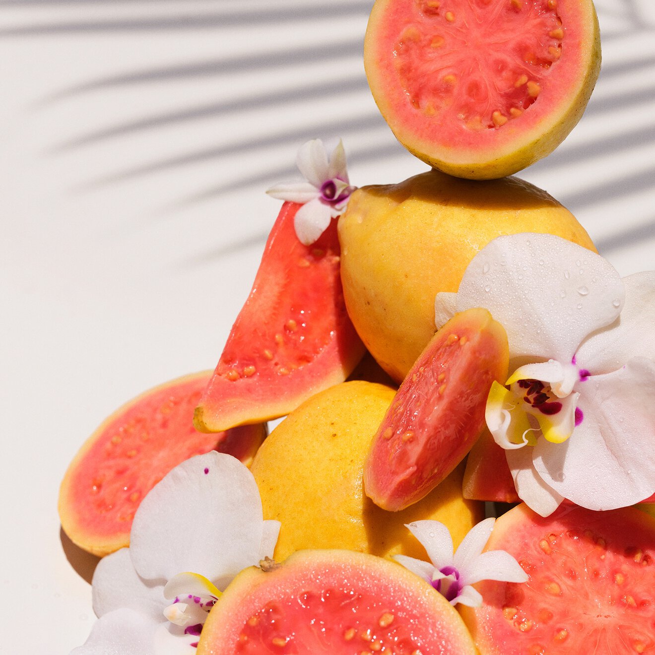 Sol de Janeiro Cheirosa 48 Perfume Mist 30Ml