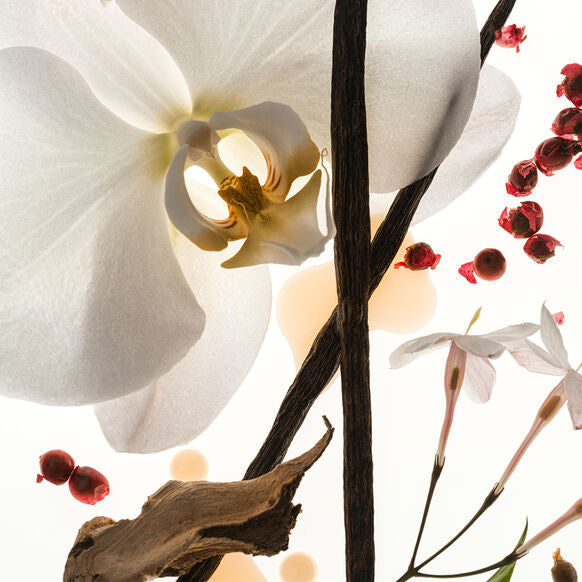 Phlur Vanilla Skin Eau De Parfum, 9.5ml