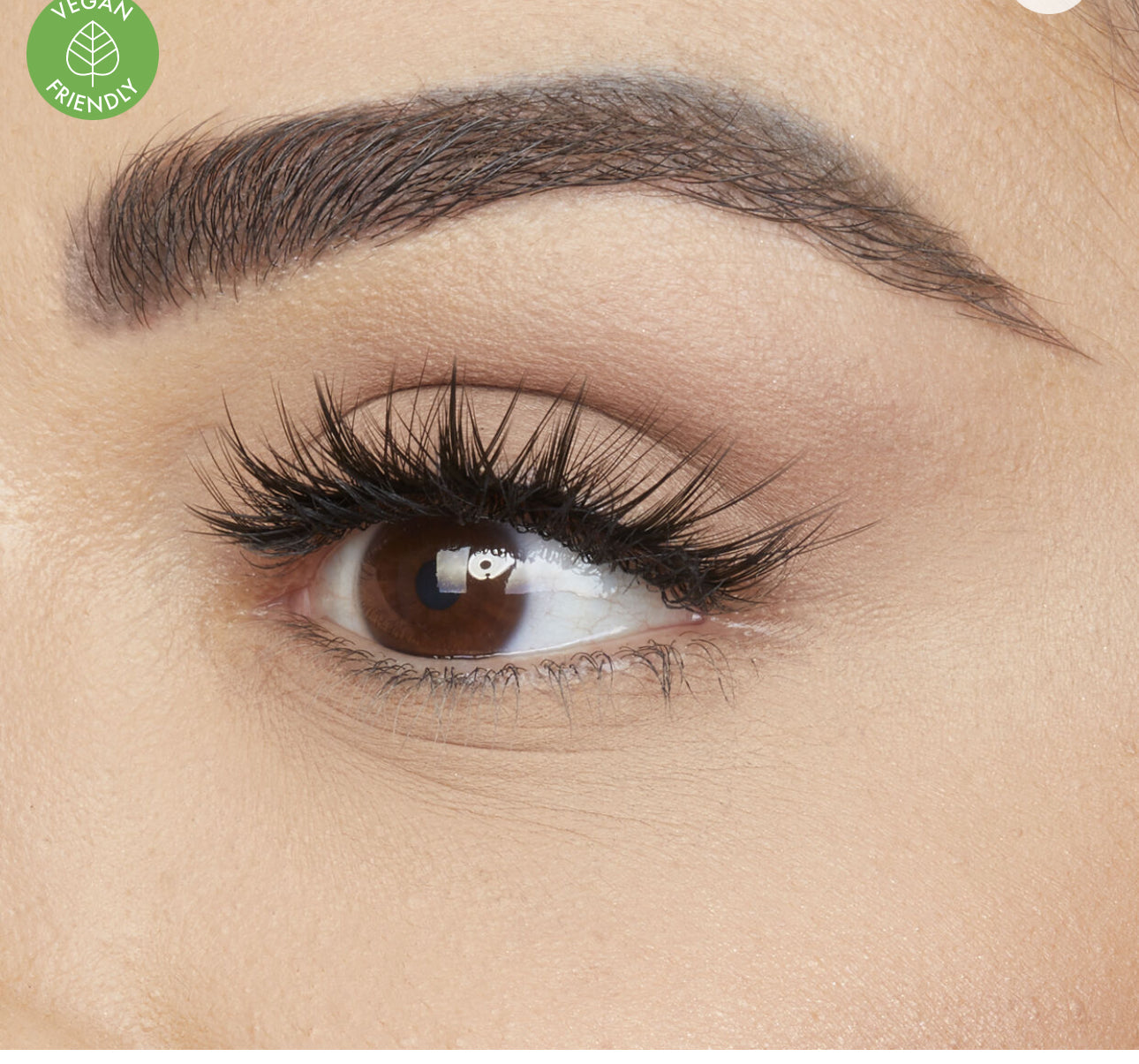 Classic False Lash - Scarlett #8